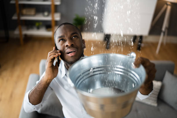 Best Professional water damage repair  in Salt Lake City, UT