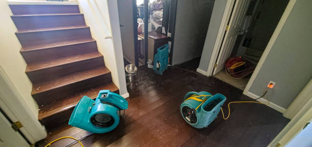 Best Commercial water damage restoration  in Salt Lake City, UT