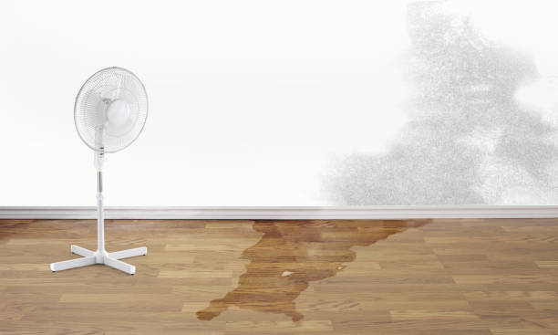 Water damage restoration experts in UT