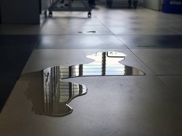 Best 24/7 water damage repair  in Salt Lake City, UT