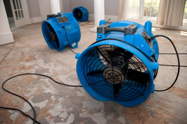 Best Water damage restoration near me  in Salt Lake City, UT