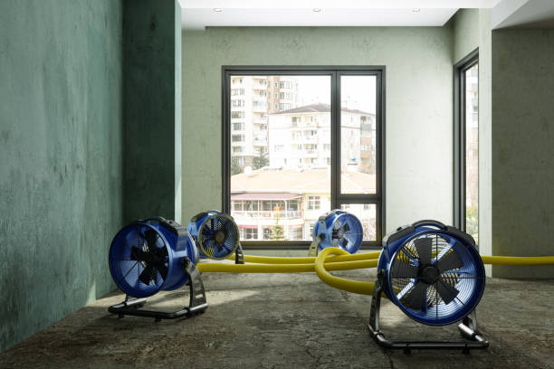 Best Commercial water damage restoration  in Salt Lake City, UT